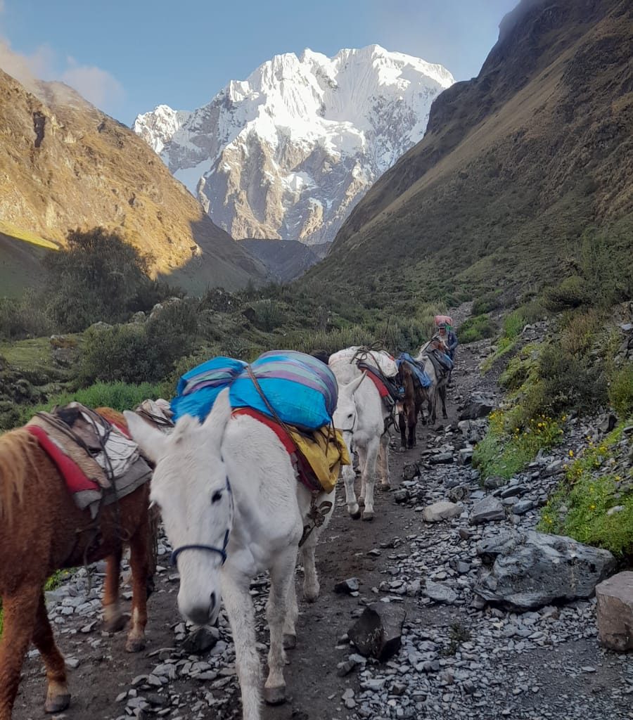 Salkantay