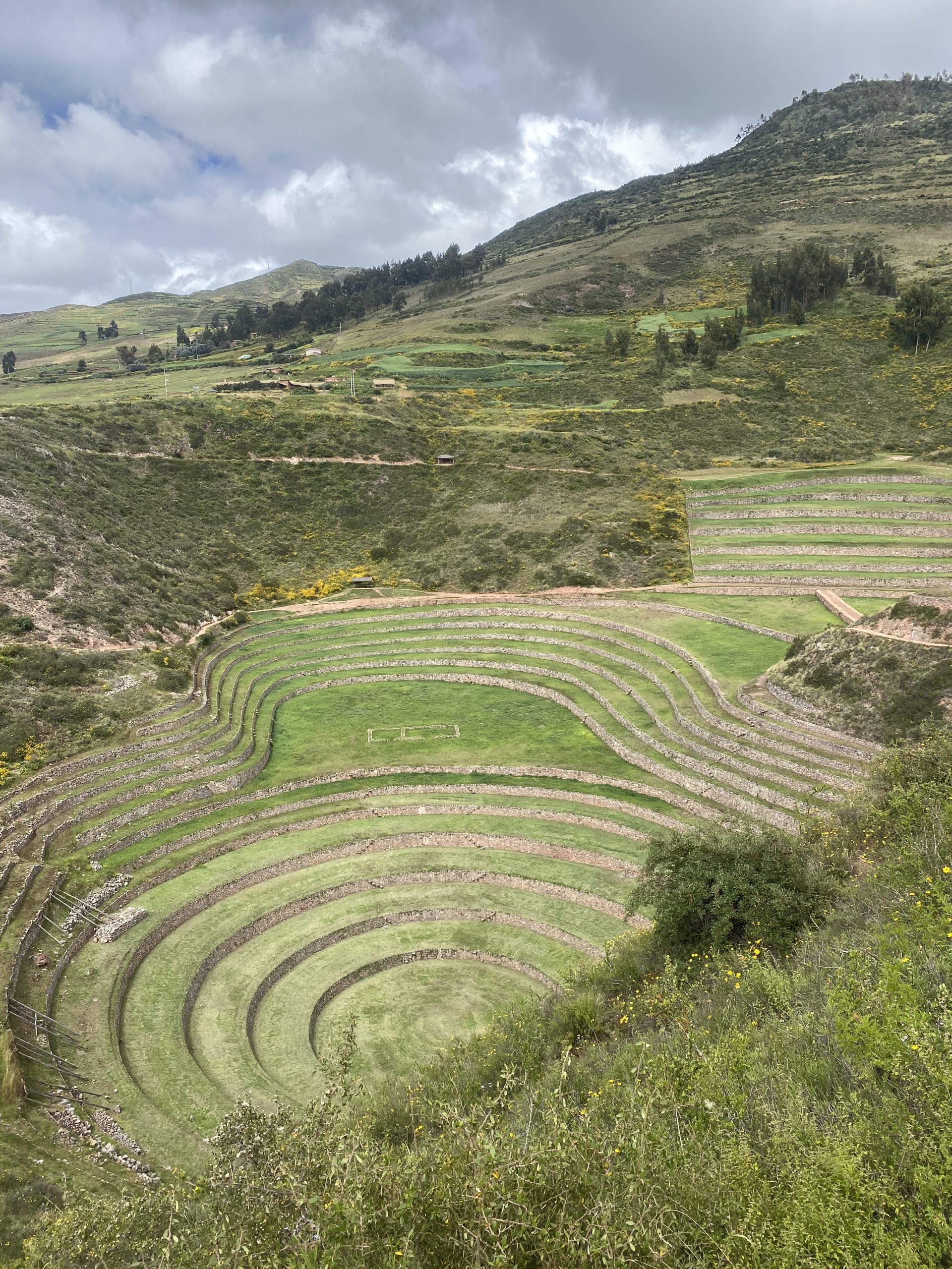 Maras & Moray